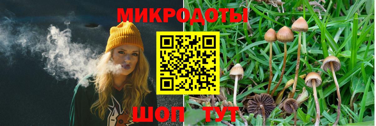 Псилоцибиновые грибы Magic Shrooms Сосновоборск