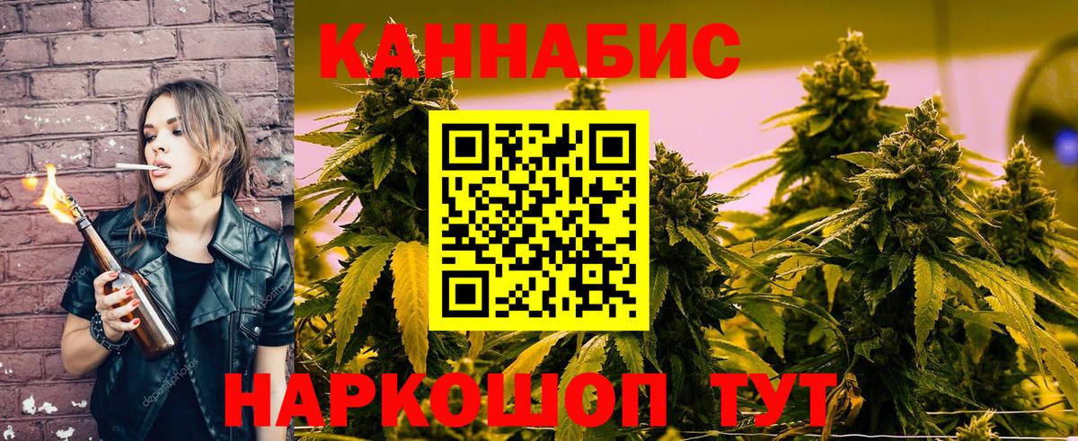 Бошки марихуана план Сосновоборск